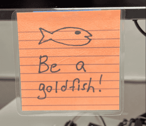flow-like-lasso-be-a-goldfish-blue-springs-school-district - JE Dunn Construction